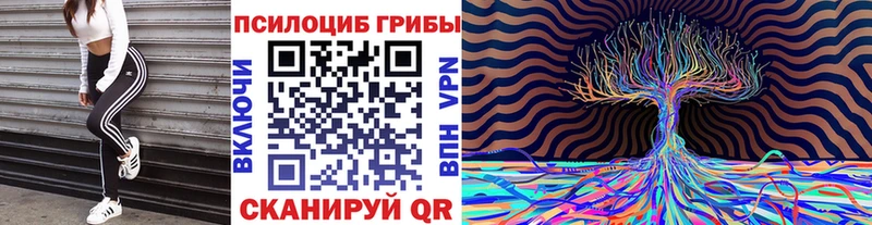Псилоцибиновые грибы мицелий  kraken онион  Кстово  закладки 